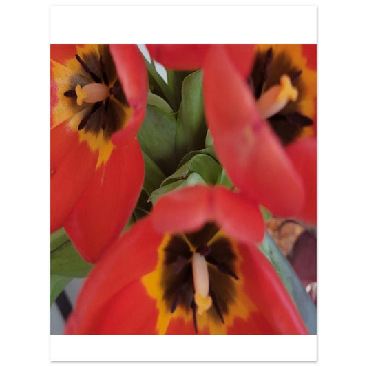 69d041b1-72c6-4b01-ac21-631d14f01581